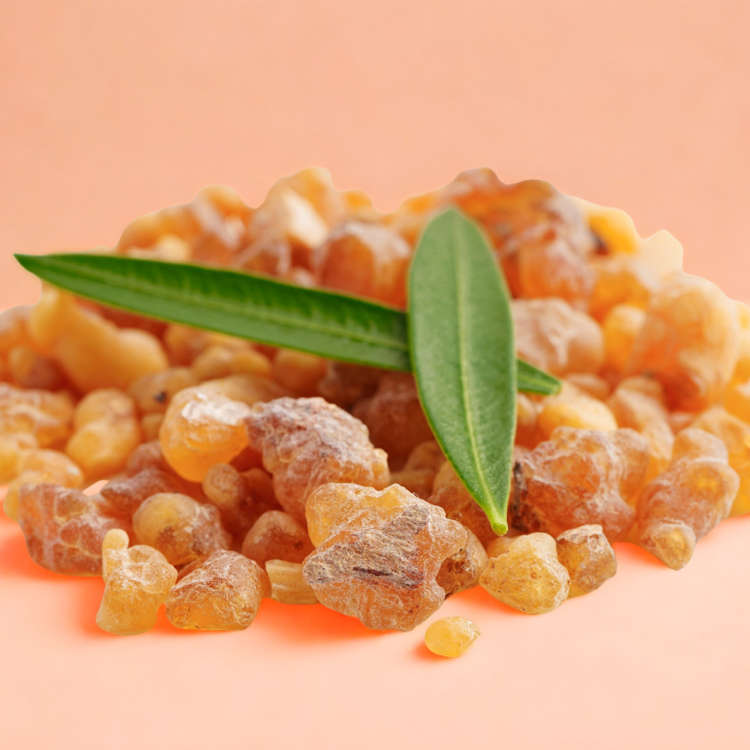 Frankincense Burner Oil