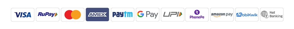 Logos of various payment methods including Visa, RuPay, Mastercard, AMEX, Paytm, Google Pay, Lini, PhonePe, Amazon Pay, and Net Banking.