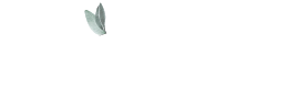 Skinhut Apothecary